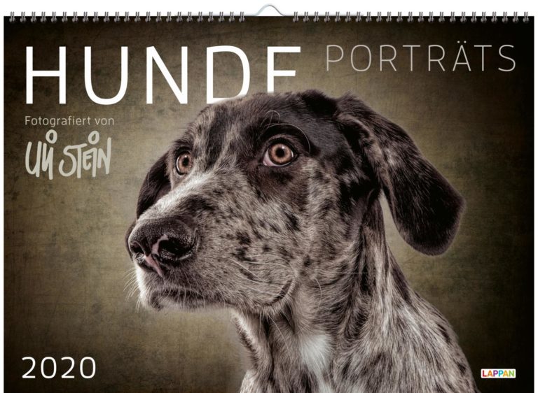 Uli Stein: Hunde Porträts 2020 - Schreibfeder.de