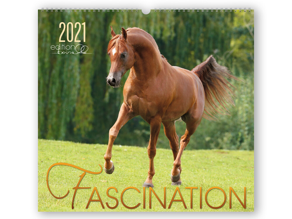 Gabriele Boiselle Facination 2021 Schreibfeder.de